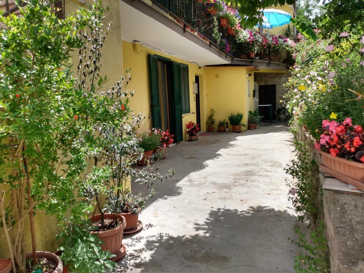 Giallo Sole Colleferro Luaran gambar